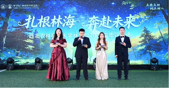 图片2_副本.jpg
