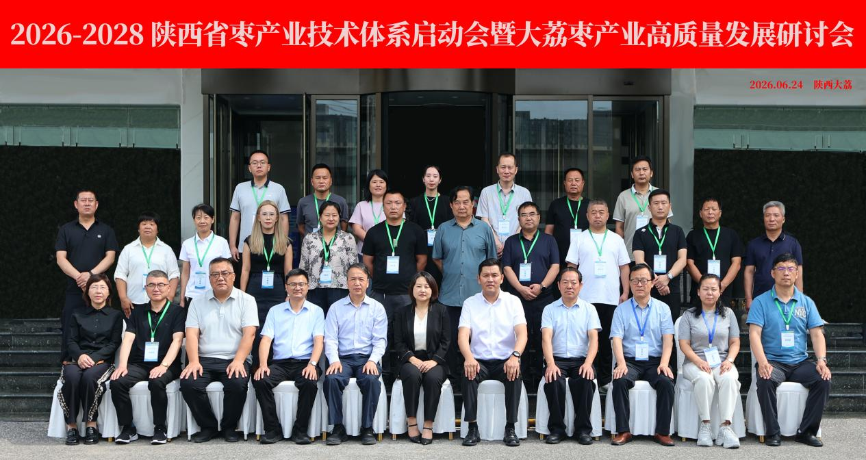 图片 2.png