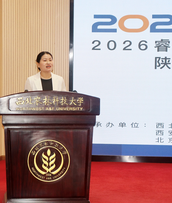 图片 1.png