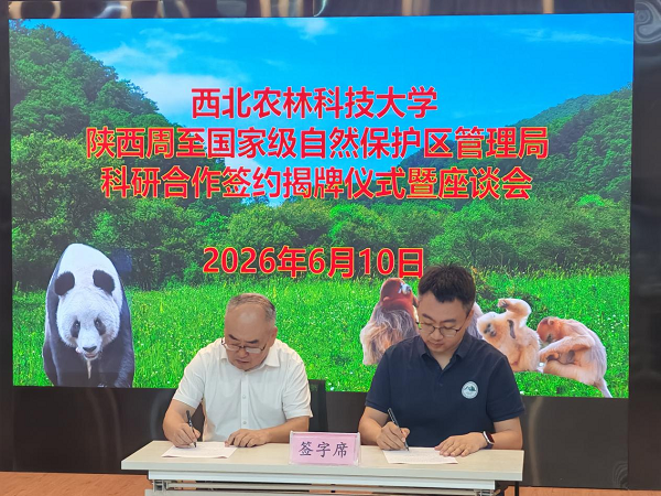 图片 1.png
