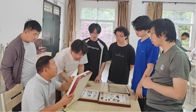 教师指导.png